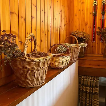Chalet The Guard Of La Molina Alp